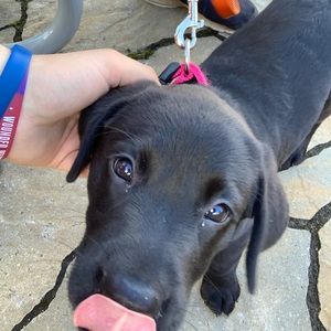 Meet your Posher, Wayne